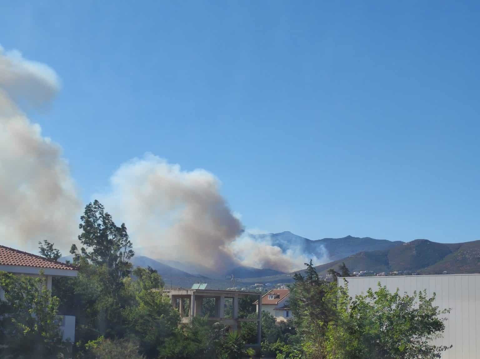 IMG 3345 Nτράφι: Η φωτιά καίει σε έκταση με χαμηλή βλάστηση