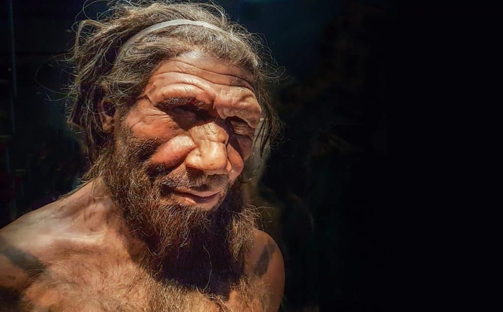 Neanderthal 1280p 1 1024x636 1