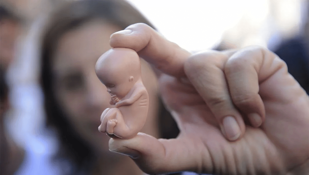 έκτρωση - OnCamera.gr