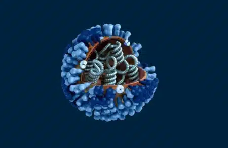 Graphical representation of a generic influenza virions ultrastructure 850x714 1024x667 1