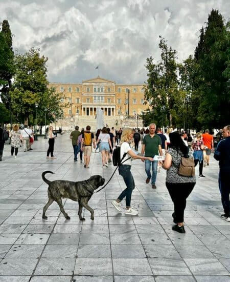 PhotoElenaRapti 3 Δράση για την "πρόληψη της παιδικής κακοποίησης" πραγματοποιήθηκε στο Κεντρικό Περίπτερο της Ν.Δ. στο Σύνταγμα
