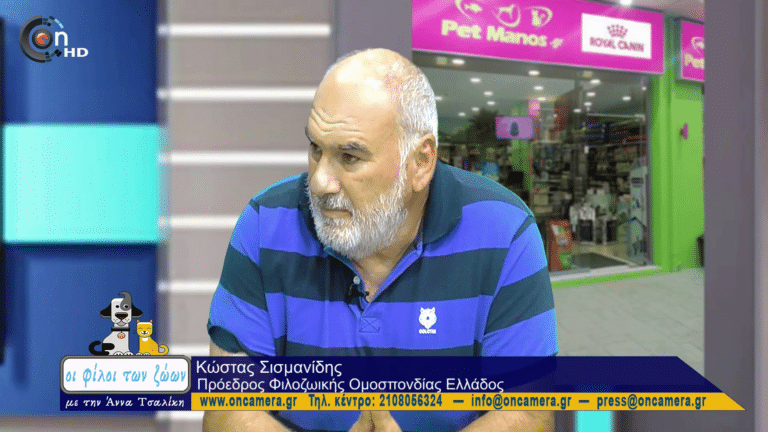 Κώστας Σισμανίδης