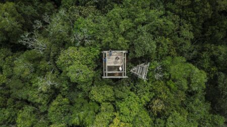forestwatchtower 1.jpg.1c04deb16b9822e67941abccc78257cc 1 Xιλιάδες ακίνητα πλησίον δασών χρειάζονται τεχνική έκθεση πυροπροστασίας.