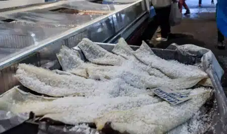 μπακαλιάρος