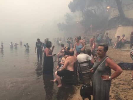 Ραφήνα ύβρις ΣτΕ