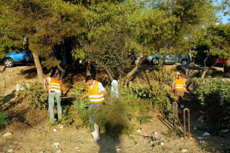 oikopeda Έκκληση από τον Δήμο Αγίας Παρασκευής προς τους ιδιοκτήτες να προβούν στο έγκαιρο καθαρισμό των ιδιοκτησιών τους.