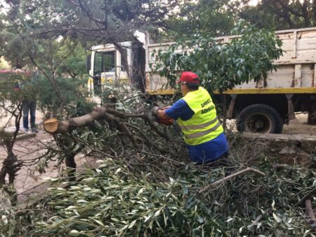 4 Δήμος Αθηναίων: Δίνει 30 εκατ. ευρώ σε ιδιώτες για την υπηρεσία Πρασίνου.