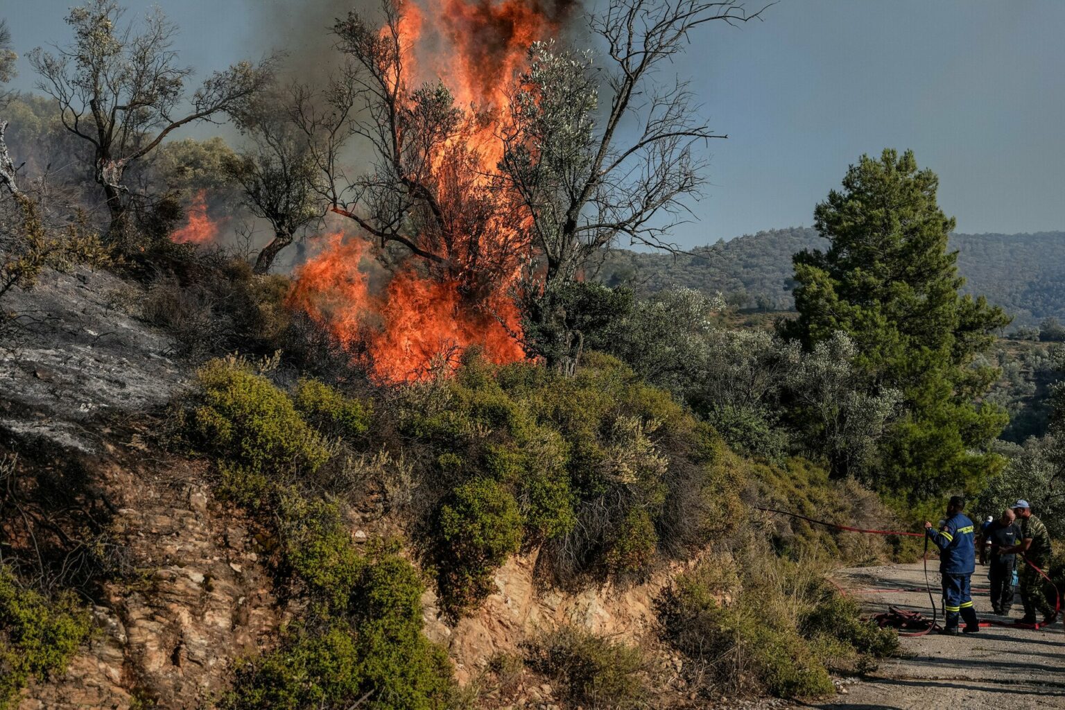 6255623 1 Φωτιά τώρα στην Κερατέα-Εκτροπή της κυκλοφορίας