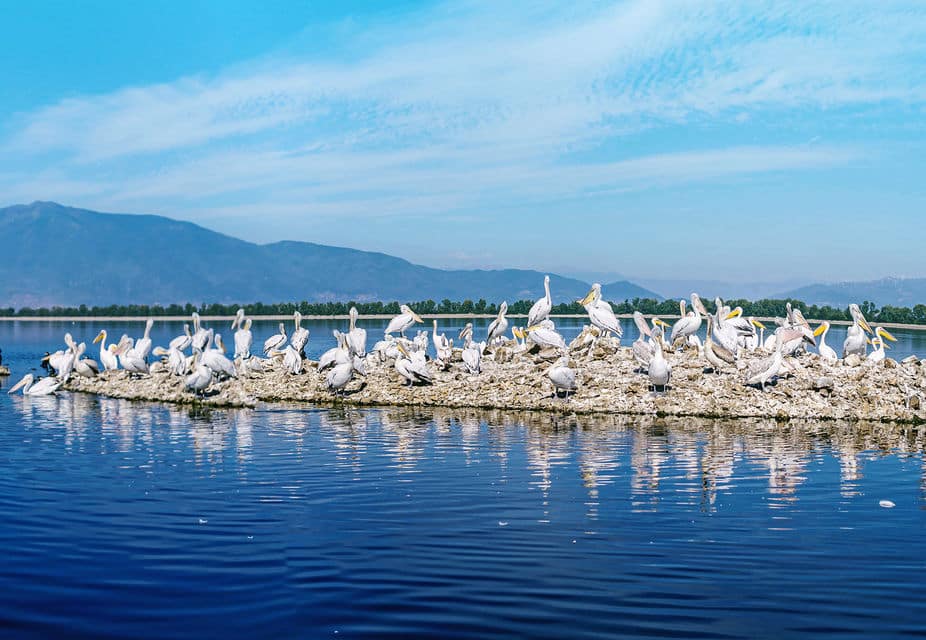 KerkiniLake 5 Περιοχές Natura στην Ελλάδα που έχουν αναπτύξει τουριστικές δραστηριότητες