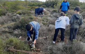 kifisia kokkinaras dendrofitefsi ΣΠΑΠ Δράση εθελοντισμού: Εκατοντάδες πλατύφυλλα φυτεύτηκαν στον Κοκκιναρά