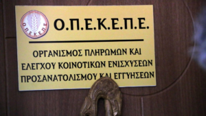 image 22 ΟΠΕΚΕΠΕ: Τί πήραμε απο την Ε.Ε. για επιχορηγήσεις και δάνεια και τι καλούμαστε να επιστρέψουμε μετά τους ελέγχους.