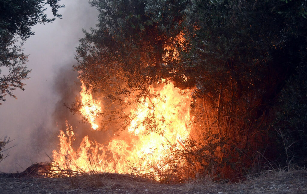 Φωτιά στη Μεσσηνία – Κίνδυνος για σπίτια στον Μελιγαλά, μήνυμα 112 για απομάκρυνση