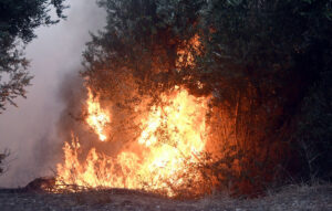 Φωτιά στη Μεσσηνία – Κίνδυνος για σπίτια στον Μελιγαλά, μήνυμα 112 για απομάκρυνση