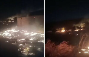 Φωτιά στο Βρωμοπούσι Σαλαμίνας: Οριοθετήθηκε χωρίς ενεργό μέτωπο