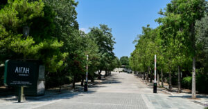 Αντίκτυποι της απόφασης Δούκα για τη Βασιλίσσης Όλγας