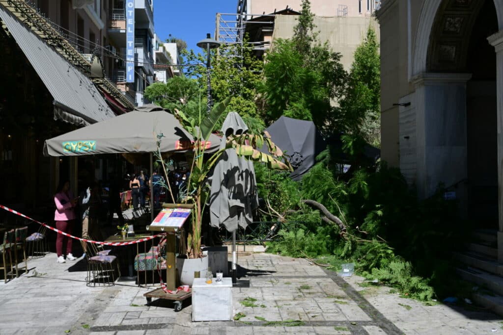 Δ. Αθηναίων: Έλεγχοι σε δέντρα και πτώσεις λόγω ανέμων