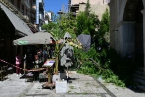 Δ. Αθηναίων: Έλεγχοι σε δέντρα και πτώσεις λόγω ανέμων