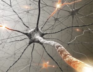 AI εργαλείο διακρίνει γλοιοβλάστωμα από λέμφωμα κεντρικού νευρικού συστήματος
