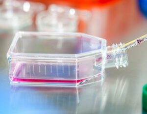 Συνεργασία Yokogawa και Repligen για την αναβάθμιση της αναλυτικής τεχνολογίας διαδικασιών