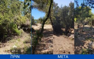 Καθαρισμός στο Γέρακα: Προτεραιότητα η δημόσια υγεία και πυροπροστασία