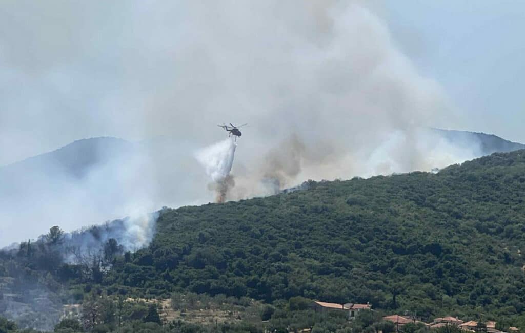 Σε ύφεση η πυρκαγιά στην περιοχή Κουνούπι Αργολίδας