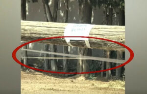 Δύο περιστατικά ηλεκτροπληξίας σε παιδιά στην Αττική