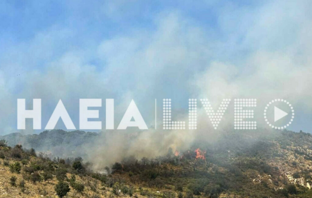 Φωτιά σε δασική έκταση στη Σπαρτουλιά Ηλείας – Επιχειρούν εναέρια μέσα