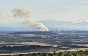 Πυρκαγιά στη Νέα Τρίγλια Χαλκιδικής – Ενισχύσεις από ελικόπτερα