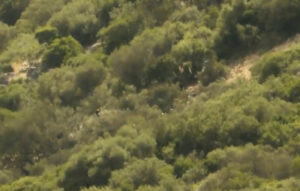 Νέα εξέλιξη στην επιχείρηση απεγκλωβισμού 53χρονου στη Λάρισα