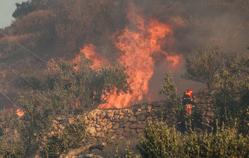 Πυρκαγιά στη Φθιώτιδα – Άμεσες ενέργειες κατάσβεσης 8 Πυρκαγιά στη Φθιώτιδα – Άμεσες ενέργειες κατάσβεσης