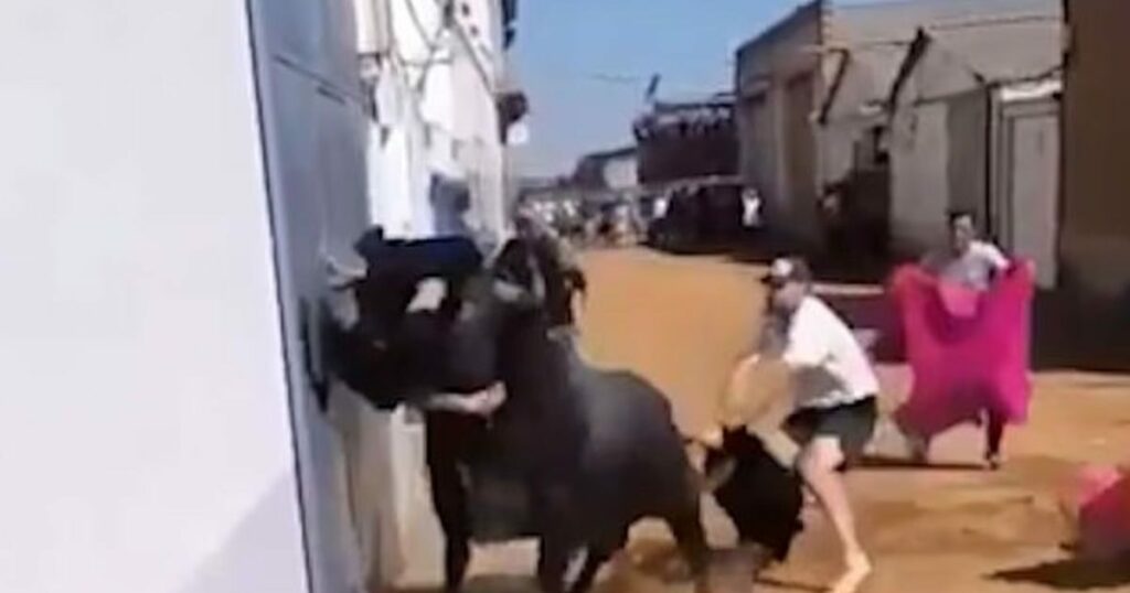 Σοβαρός τραυματισμός 17χρονου από ταύρο σε φεστιβάλ στην Ισπανία 2 Σοβαρός τραυματισμός 17χρονου από ταύρο σε φεστιβάλ στην Ισπανία