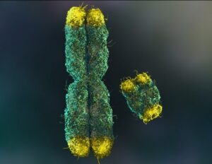 Επέκταση των Υπηρεσιών της Wasatch Biolabs με Δοκιμές Oxford Nanopore