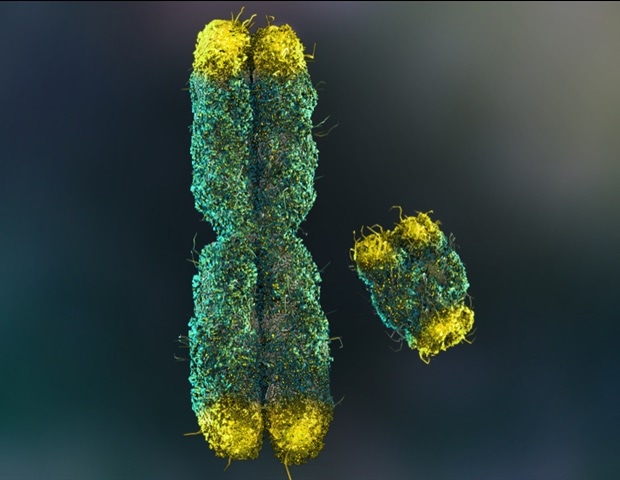 Επέκταση των Υπηρεσιών της Wasatch Biolabs με Δοκιμές Oxford Nanopore