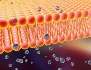 Νέες τεχνικές νευροδιαμόρφωσης για την ανθεκτική OCD