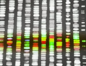 Εξελιγμένο εργαλείο αλληλούχισης DNA αποκαλύπτει κρυμμένες μεταλλάξεις που σχετίζονται με τη γήρανση και τον καρκίνο