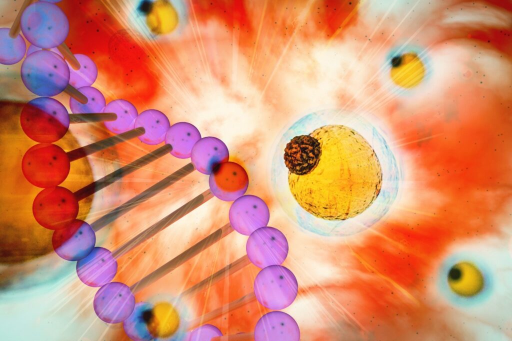 Μελέτη αποκαλύπτει γονίδια παχυσαρκίας μέσω ανάλυσης διαφόρων καταγωγών
