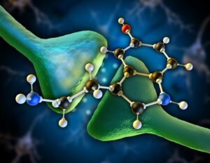 Νέες προοπτικές στη θεραπεία PTSD με MDMA και πέρα από αυτήν