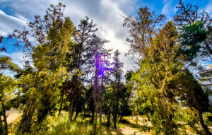 Καιρικές συνθήκες για σήμερα 14/10/2025