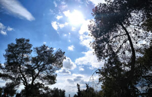 Ηλιόλουστος καιρός με άνοδο της θερμοκρασίας σε όλη τη χώρα