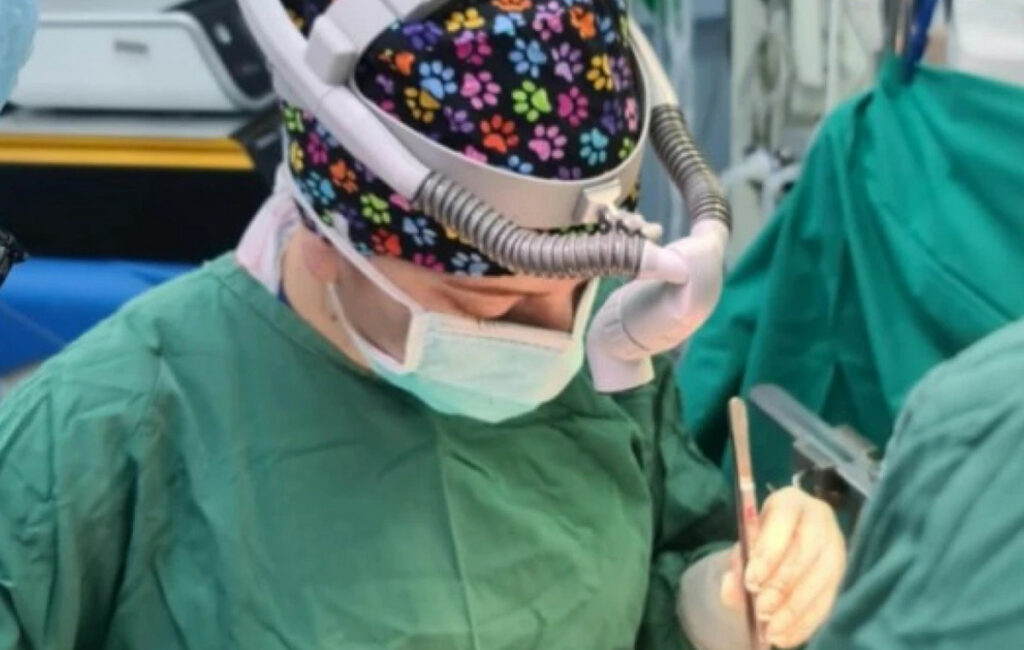 Κωνσταντίνα Ελένη Καρακάση: Η πρώτη γυναίκα χειρουργός μεταμοσχεύσεων ήπατος στην Ελλάδα