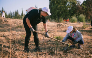 Νέα περιβαλλοντική δράση της Nova στην Ιερά Μονή Πεντέλης