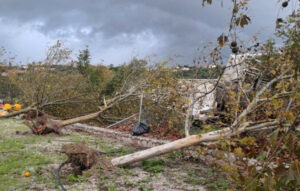 Καταστροφές στη Μεσσηνία από την κακοκαιρία Adel – Ανεμοστρόβιλος χτύπησε τη Φοινικούντα