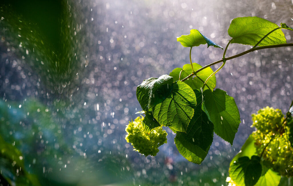 Προειδοποιήσεις της Πολιτικής Προστασίας για την επιδείνωση του καιρού