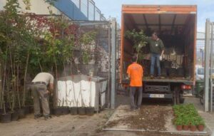 Νέος γύρος φύτευσης δένδρων και φυτών στον Δήμο Ηρακλείου