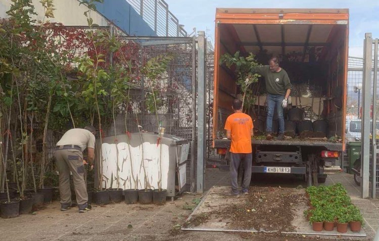 Νέος γύρος φύτευσης δένδρων και φυτών στον Δήμο Ηρακλείου
