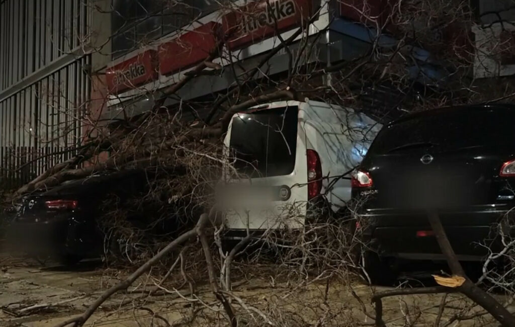 Δέντρο καταπλάκωσε τέσσερα αυτοκίνητα στην Πειραιώς – Στο πόδι η Πυροσβεστική