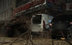 Δέντρο καταπλάκωσε τέσσερα αυτοκίνητα στην Πειραιώς – Στο πόδι η Πυροσβεστική