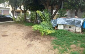 Δηλητηρίαση γατιών στη Νέα Φιλαδέλφεια: Αναζητούνται οι υπεύθυνοι