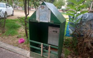 Σοκαριστική θηριωδία: Πάνω από 30 γάτες δηλητηριάστηκαν στη Νέα Φιλαδέλφεια