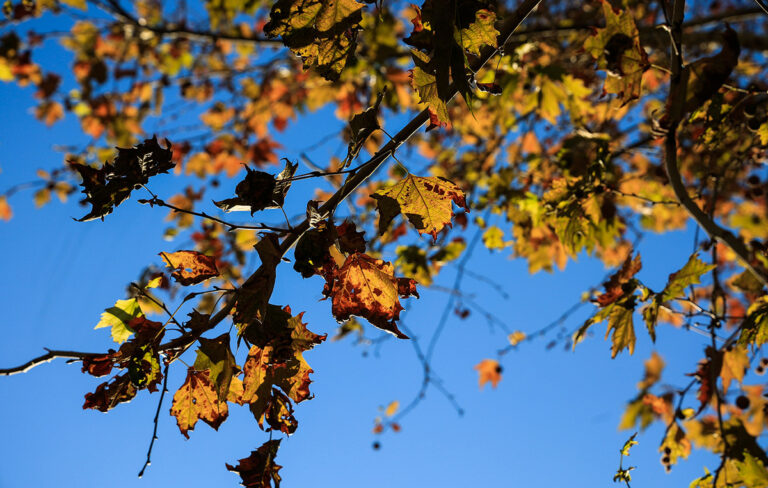 Καιρός: Φθινοπωρινός ήλιος και 23άρια το Σαββατοκύριακο – Επιστροφή βροχών από Τετάρτη
